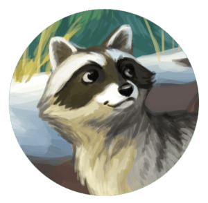 kit_raccoon